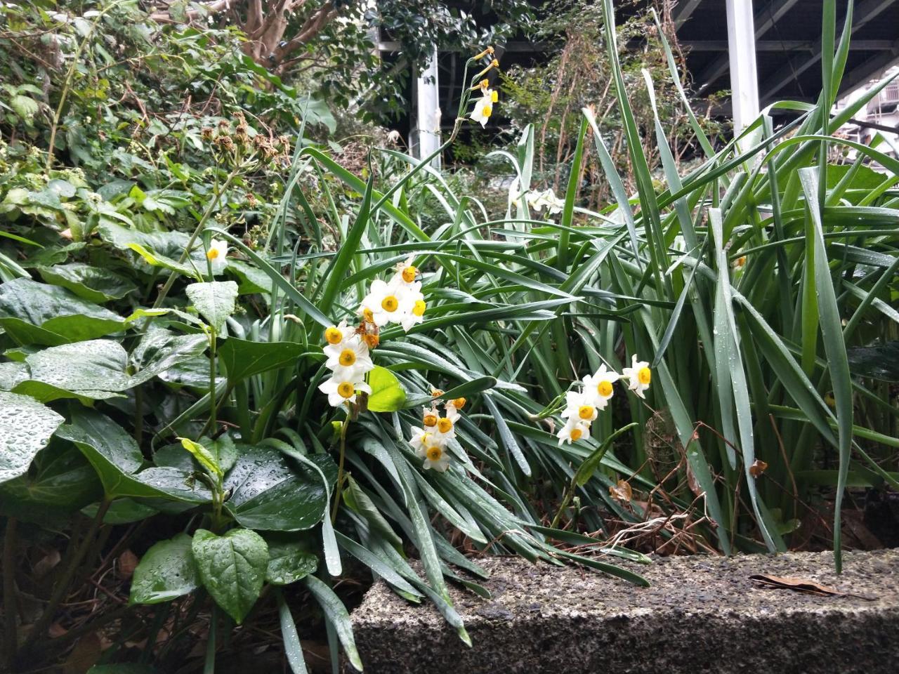 Izu Hokkawa Seaside Guesthouse 伊豆北川の家 Higashiizu Dış mekan fotoğraf